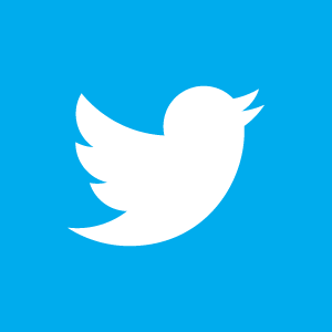 twitter white on blue logo